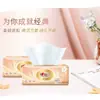 Papel de Seda para la Cara Xinxiangyin 3 Capas 100 Hojas 3 Paquetes Papel de Seda para el Hogar Papel Higiénico Papel de Servilleta