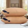 Almohada de Terciopelo de Plumas Lavable Núcleo de Almohada de Hotel Viene con Funda de Almohada Par de Almohadas Protección de la Columna Cervical Núcleo de Almohada para el Hogar