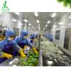 Líquido de Aloe Vera 100% Grado Cosmético Extracto de Aloe Vera Líquido Jugo de Aloe Vera Líquido Original de Aloe Vera Agua de Líquido de Aloe Vera de Curazao
