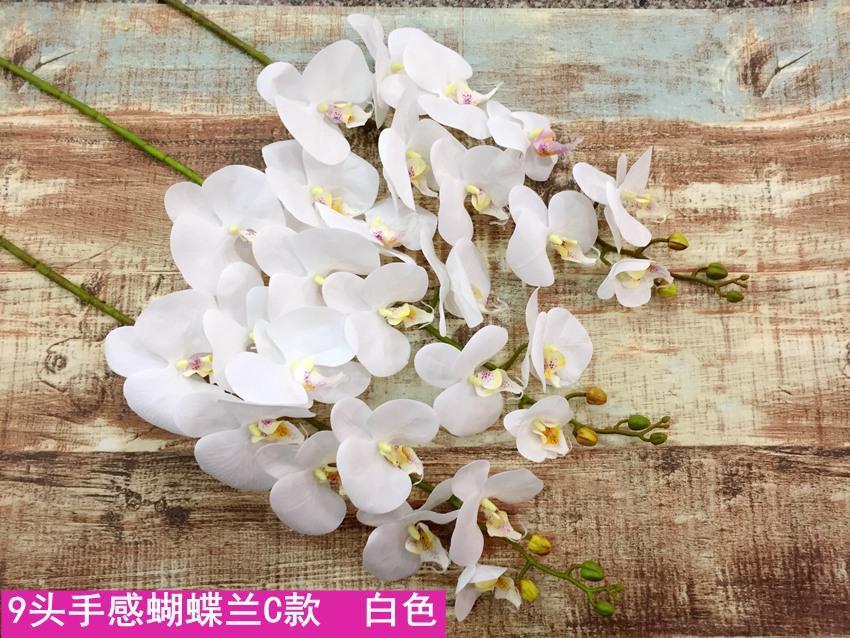 2_副本