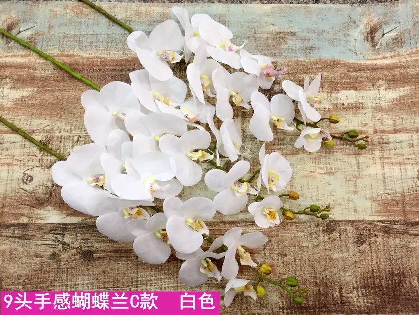 2_副本