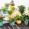 Maceta Corrugada Orquídea Maijia Maceta Creativa Distintiva para el Hogar Maceta para Carnes Maceta de Plástico Mediana Grande para Jardinería