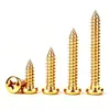 Tornillos Pequeños Autoperforantes de Cabeza Redonda Cruzada de Acero Inoxidable 304 Dorado Tornillos Autoperforantes de Cabeza Panorámica Extendidos M3M4M5M6 Oro Imitación