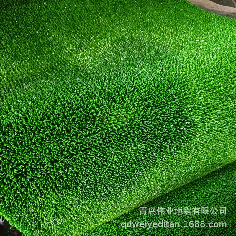 IMG20250902083606.jpg