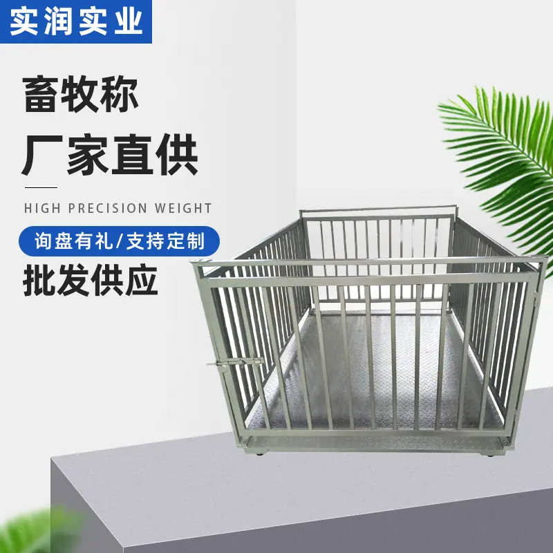 主图