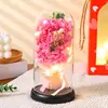 Regalo del Día de San Valentín Chino Hilo de Perla Flor Eterna Rosa Cubierta de Vidrio Creativo Transfronterizo Regalo de Cumpleaños Adornos al por Mayor