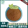 Extracto de Fruta Verde, Extracto de Fruta de Oliva 1kg, Envío Gratis, En Stock al por Mayor, Polvo de Fruta Verde Soluble en Agua, Extracción Profesional de Plantas