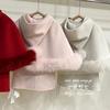 Conjunto de Falda Plisada Estilo Coreano para Niñas Qixiaoqi Otoño e Invierno, Elegante Falda a Cuadros con Forro Polar, Tendencia Universitaria Venta al por Mayor