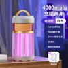 Lámpara antimosquitos eléctrica silenciosa para exteriores, recargable, para uso doméstico y con inhalación de descargas eléctricas.
