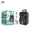 O8K Bt-2098 Altavoz Bluetooth de Karaoke de Alta Potencia de 8 Pulgadas Nuevo Altavoz con Micrófono Portátil para Exteriores