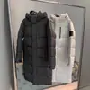 Chamarra de Plumas Versión Alta Putian con Capucha Larga Estilo Celebridad Estilo Pareja Mismo Estilo para Hombres y Mujeres Protección contra el Frío y Calidez