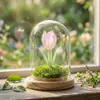 Regalo del Día de la Madre: Adorno de Cúpula de Vidrio Hecho a Mano Tulipán Glaseado Zibo, Planta Eterna Regalo Creativo Al Por Mayor