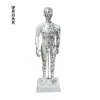 Fengfan 40cm Modelo de corpo humano de pontos de acupuntura da medicina chinesa mapa dos doze meridianos modelo de ponto do corpo humano de cobre pessoas de pele pequenas lote