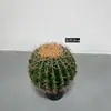 Cactos e Suculentas Artificiais Atacado para Paisagismo, Paisagens com Plantas Falsas Tropicais e Desérticas