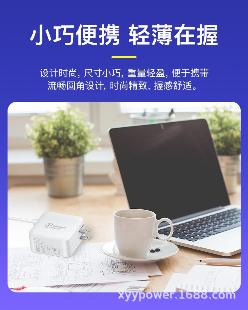 氮化镓PD100W带线+A口美规