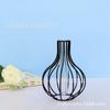 Novo Ferro Fundido Cabacinha Tubo de Ensaio de Vidro Pothos Vaso Plantas Verdes Hidropônicas Enfeites Flor de Cultivo Arranjo de Flores Vaso Fabricante Atacado