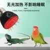 Lámpara de Calor para Loros Cerámica Temperatura Constante Lámpara Calefactora para Cría y Eclosión de Codornices, Lagartijas, Reptiles, Lámpara Calefactora de Invierno