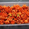 Sonrisa Yunnan Flores Secas Decorativas Pistachos Materiales DIY Adornos Materiales de Flores Secas Estampado de Fruta Cruz
