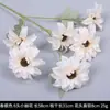 Serie de Flores de Tira Color Champán Seda Artificial de Boda Niebla Phalaenopsis Arco de Salón de Bodas Ramo de Decoración Falsa Dropshipping