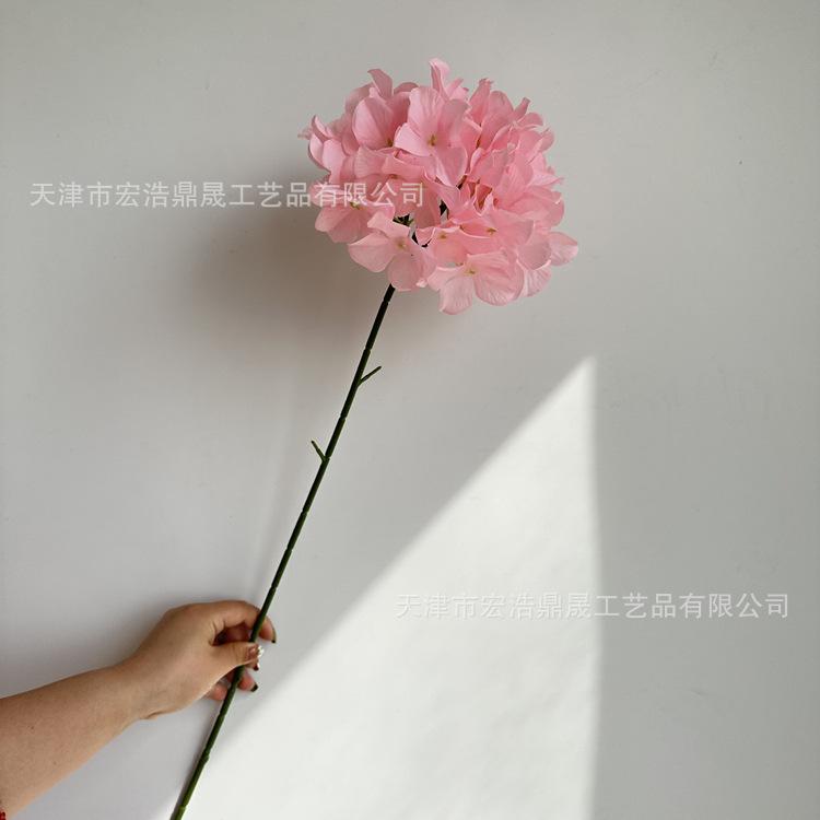 微信图片_202303081754093_副本