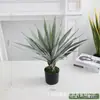 Simulação Planta Verde Bonsai Sisal Folha Grande Gladíolo Planta do Deserto Tropical Janela Paisagismo Decoração Planta Artificial Ponto