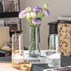 Vaso de Vidro Estilo Ins Escandinavo Popular Transparente Hidropônico High-End Simples Criativo Arranjo de Flores para Sala de Estar Decoração de Mesa