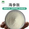 Peptídeo de Pepino-do-Mar, Pó de Peptídeo Proteico de Pepino-do-Mar, Oligopeptídeo de Pepino-do-Mar de Grau Alimentício, Direto do Fabricante, em Estoque, Amostras Disponíveis para Envio