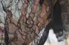 Tejido de Encaje Suave Elástico de Alta Calidad Respetuoso con la Piel para Ropa DIY Vestido de Novia Íntimos Accesorios