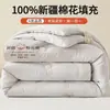 Colcha antibacteriana Classe A 100% algodão puro de algodão de Xinjiang, enchimento de colcha de inverno, colcha para primavera e outono de dormitório estudantil, adequada para todas as estações