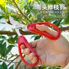 Tijeras para ramas de fruta en maceta, tijeras para cuchillos, tijeras de codo para jardinería, tijeras para podar uvas, tijeras para recolección de té extendida, tijeras para brotes tiernos, tijeras para aclarear frutas