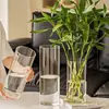Tubo de Vidrio Transparente Recto de Alto Borosilicato con Base Florero Hidropónico Taza para Velas de Aromaterapia Múltiples Especificaciones En Stock Venta al por Mayor