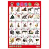 Iluminación para Bebés Educación Temprana Mural Sonoro Niños Pequeños Mirar Imágenes Reconocer Caracteres Mirar Imágenes Reconocer Objetos Pintura Colgante Pinyin Chino