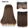 Peruca de fibra química de comércio exterior com linha de pesca ajustável Peruca de extensão de cabelo europeia e americana sem costura Cabelo liso longo de seda de alta temperatura fosco