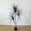 Planta artificial Árbol de hierro Dragón Milenario bonsái para interior decoración de paisaje multi-tronco árbol de sangre de dragón bonsái árbol artificial al por mayor