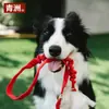 Qingzhou Pet Grama Artificial Artificial Gramado Corte Plástico Pppe Personalizável Fábrica Banheiro de Cachorro Pode Vazamento