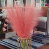 Mini Caña Transfronteriza 55cm Decoración Estilo Escandinavo Celebridad de Internet Ins Flor Artificial Flor Artificial Hierba de las Pampas Flor Artificial
