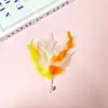 Cabeça de Reposição de Pena de Pérola, Cabeça de Reposição de Pena Colorida com Bolinhas, Varinha para Provocar Gatos, Vários Processamentos e Produção de Penas