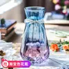 Vaso Vidro Transparente Sala de Estar Arranjo de Flores Escandinavo Hidropônico Bambu Rico Moderno Simples Garrafa de Flor Seca Cultura em Água Rabanete Verde Grande