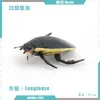 Simulación Transfronteriza Modelo de Araña Real Unicornio Insecto Juguetes para Niños Mariposa Abeja Adornos de Animales