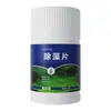 Pastillas de Inicio para Acuario, Esenciales para Principiantes en la Acuarofilia, Esterilización, Cloración, Purificación del Agua, Purificador de Agua Fish Lebao, Pastillas de Bacterias Nitrificantes
