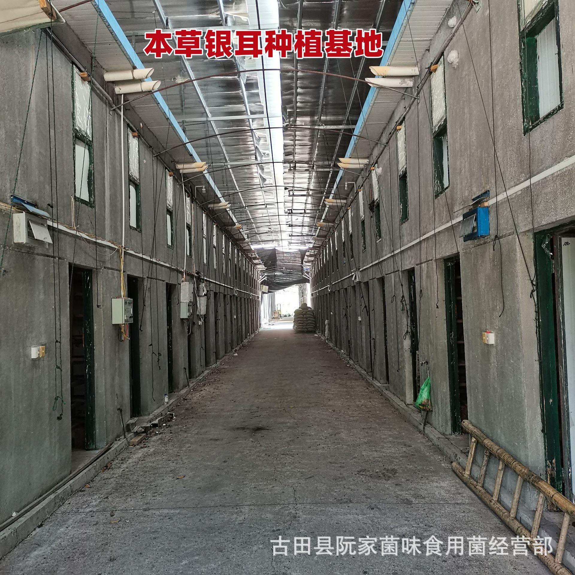 b8468888b1e1f8af408ccc9f229524