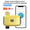 Dispositivo Inteligente de Riego Automático de Flores para Jardín, Rociador Inteligente, Dispositivo de Riego Controlado por Temporizador para Jardín y Césped Zigbee
