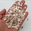 500g Piedra Triturada de Concha Tratamiento Grueso de Lanzamiento Agregado para Suelo de Terrazo Decoración de Piezas Originales de Concha con Fragmentos de Concha