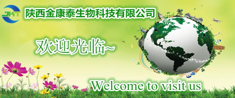 欢饮光临_副本