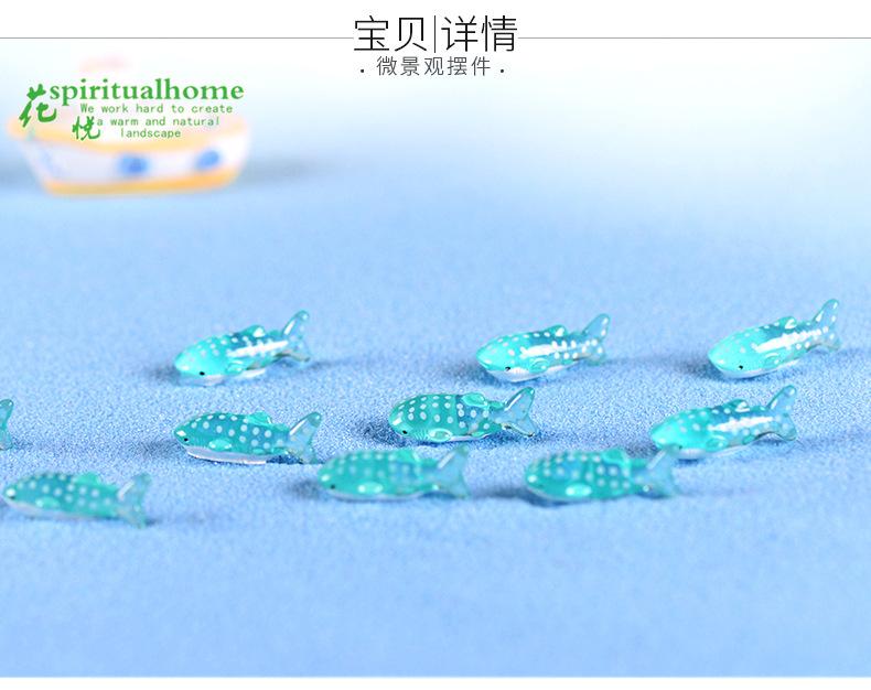 斑点鲨鱼_01