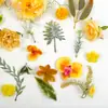 Explosões transfronteiriças 46 peças de grampo de cabelo de simulação cor de outono folhas de rosa plantas aquáticas DIY guirlanda de Natal arranjo de flores acessórios