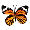 Cabeza de Flor de Mariposa de Goma Suave de Plástico, Decoración del Hogar con Flores Artificiales, Arreglo de Boda, Adornos al por Mayor, Decoración de Mesa para Exteriores