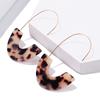 Pendientes acrílicos con diseño de leopardo y explosiones transfronterizas, en forma de U, sencillos y modernos, para mujer.