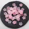 Cuentas de Flor de Gradiente Colorido Acrílicas con un Agujero en el Medio, Flor de Cinco Pétalos con Polvo Dorado para Pulsera DIY, Tapas de Flor, Tapas para Cuentas, Accesorios de Cuentas Sueltas