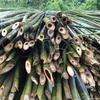Suportes para Vegetais por Atacado, Bambu, Bambu Dourado, Bambu Canela, Estacas de Bambu Agrícola, Especiais para Suportes de Flores, Frutas e Vegetais, Várias Especificações
